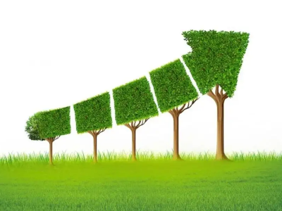 什么是碳邊境調(diào)節(jié)機(jī)制，對中國有哪些影響？